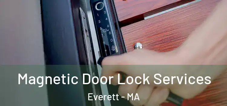 Magnetic Door Lock Services Everett - MA